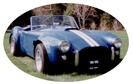 cobra2.jpg